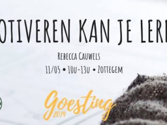 Goesting: Motiveren kan je leren