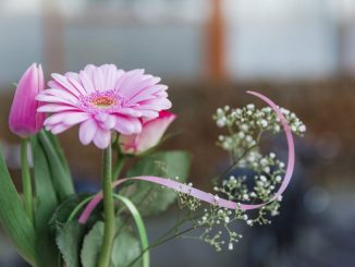 Interkerkelijke Vrouwendag Waddinxveen